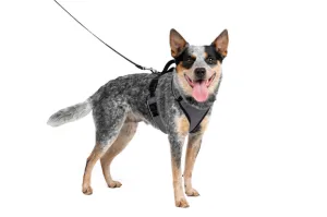 Petsafe Easysport Harness Charcoal Md