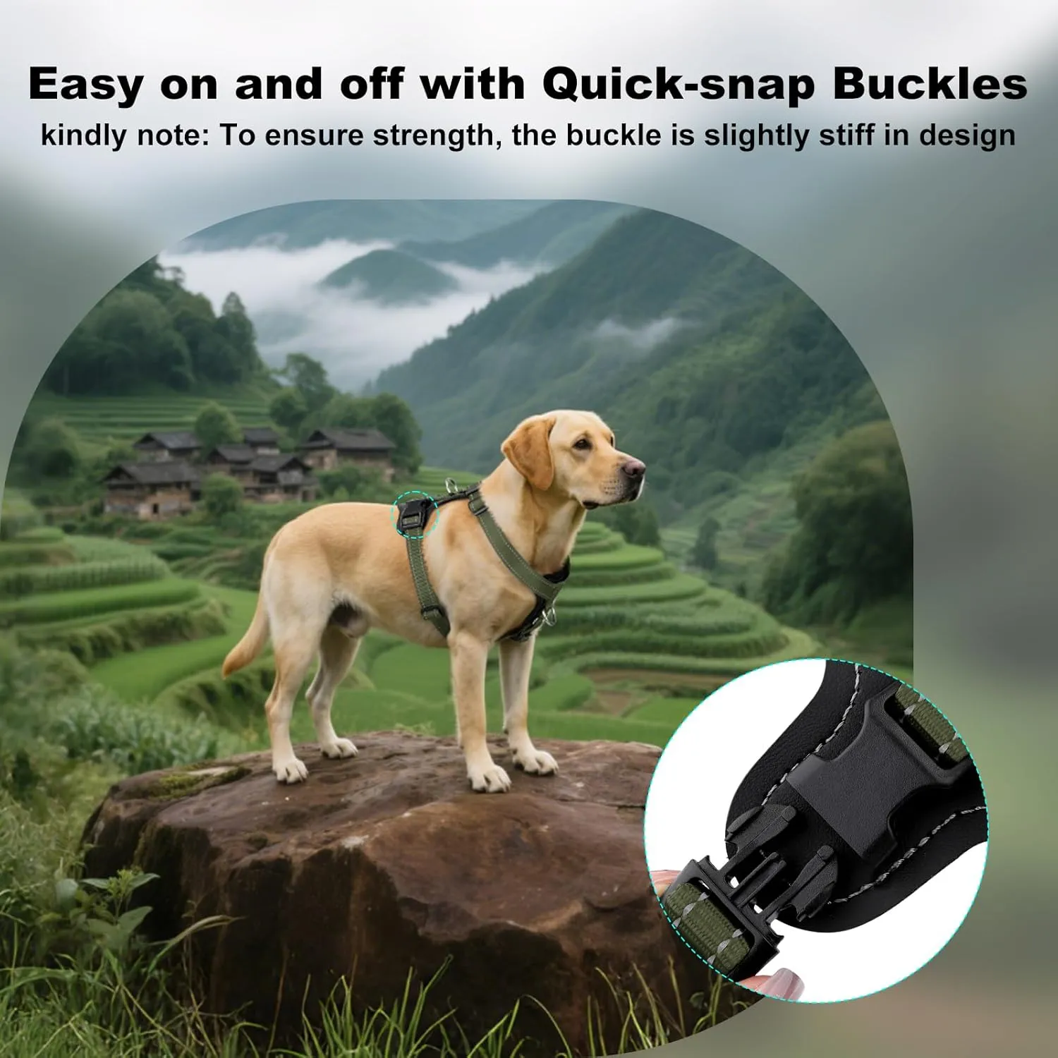 Plutus Pet Adjustable No Pull Dog Harness with Leather Accents, Heavy Duty Reflective Nylon Vest for Training, Hiking, Easy Walk Harness for Small, Medium, Large Dogs (Ranger Green, M)
