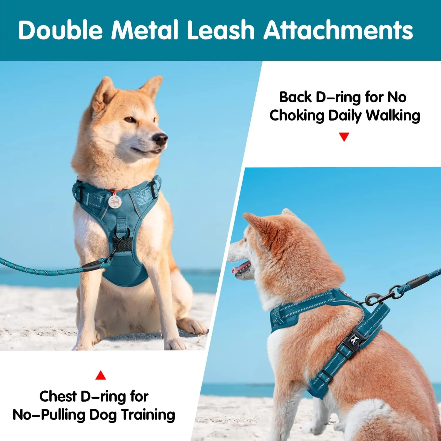 PoyPet No Pull Dog Harness and 5 Feet Leash Set, Release on Neck Reflective Adjustable Pet Vest, Front & Back 2 D-Ring and Soft Padded Pet Harness with Handle for Small to Large Dogs(Tumalo Teal,S)