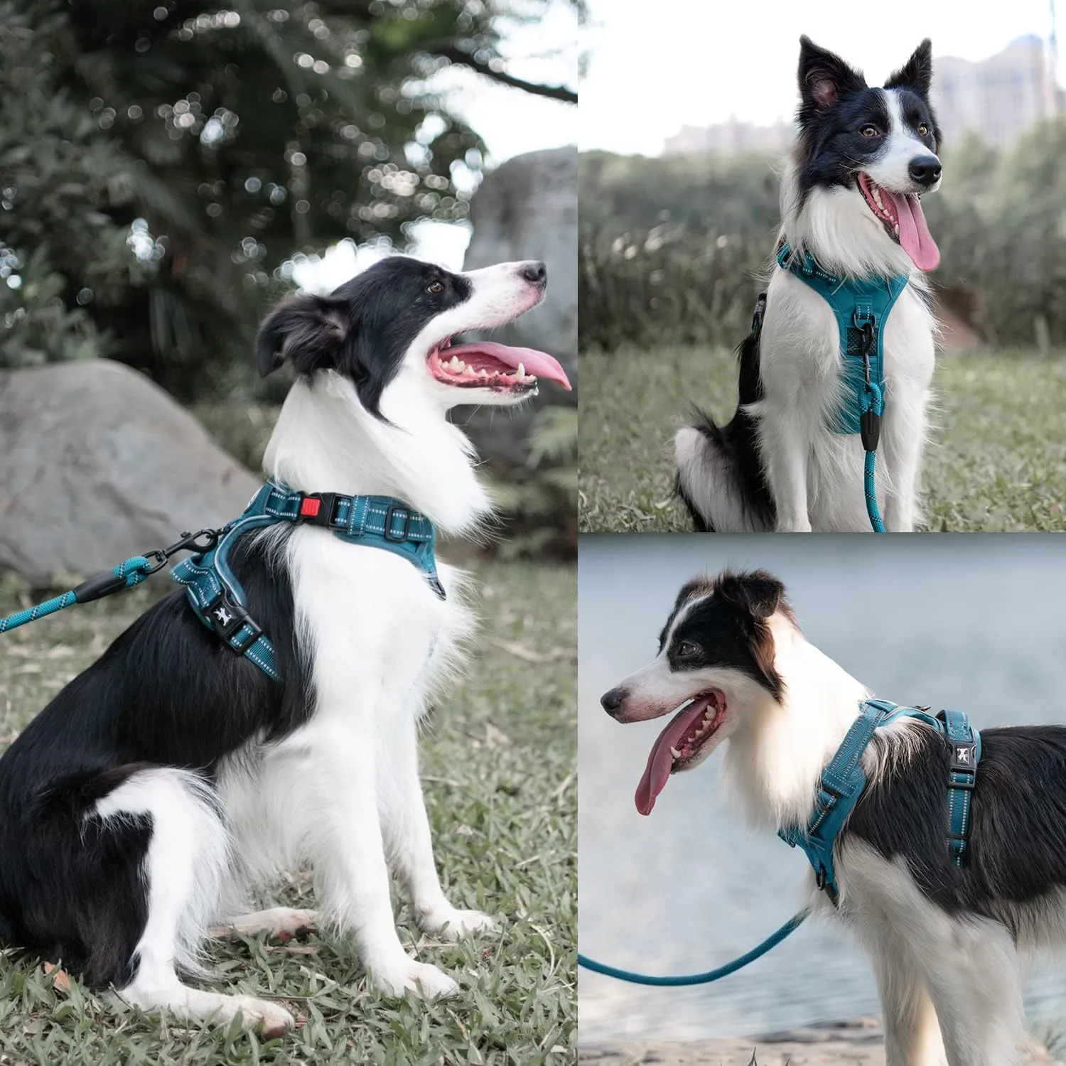 PoyPet No Pull Dog Harness and 5 Feet Leash Set, Release on Neck Reflective Adjustable Pet Vest, Front & Back 2 D-Ring and Soft Padded Pet Harness with Handle for Small to Large Dogs(Tumalo Teal,S)