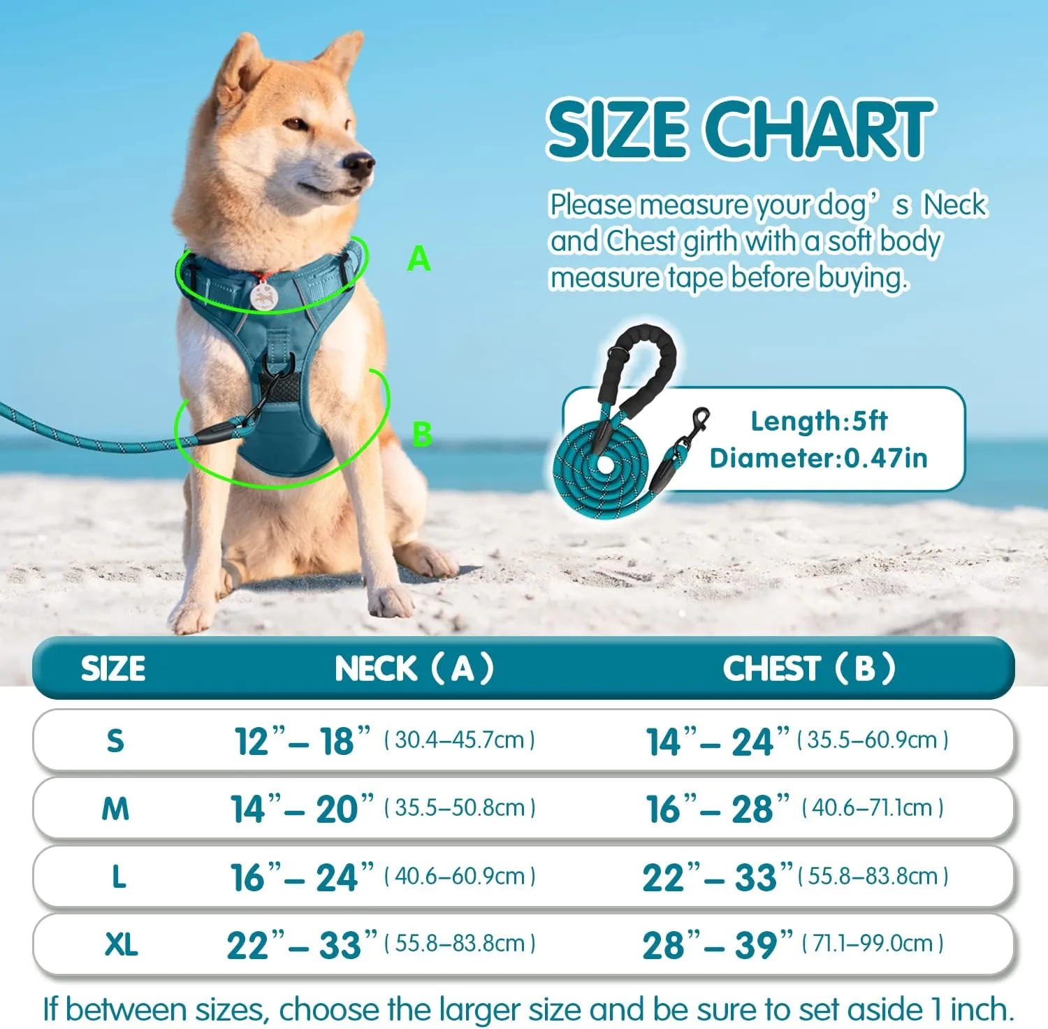 PoyPet No Pull Dog Harness and 5 Feet Leash Set, Release on Neck Reflective Adjustable Pet Vest, Front & Back 2 D-Ring and Soft Padded Pet Harness with Handle for Small to Large Dogs(Tumalo Teal,S)