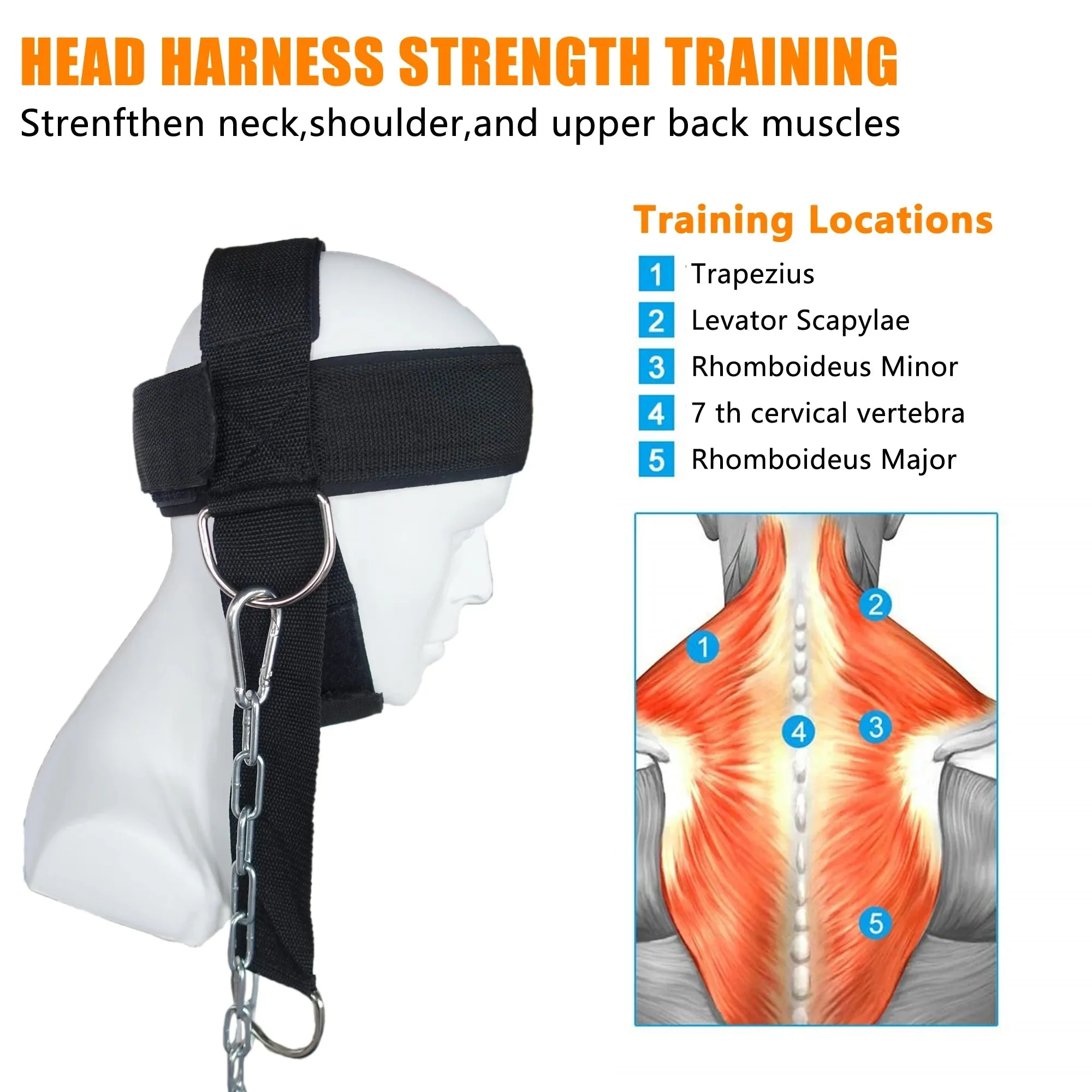 Premium Neck Training Harness for Strength & Muscle Power - Adjustable Head & Neck Weight Lifting Strap - Gym Fitness Equipment for Injury Recovery, Posture & Combat Sports