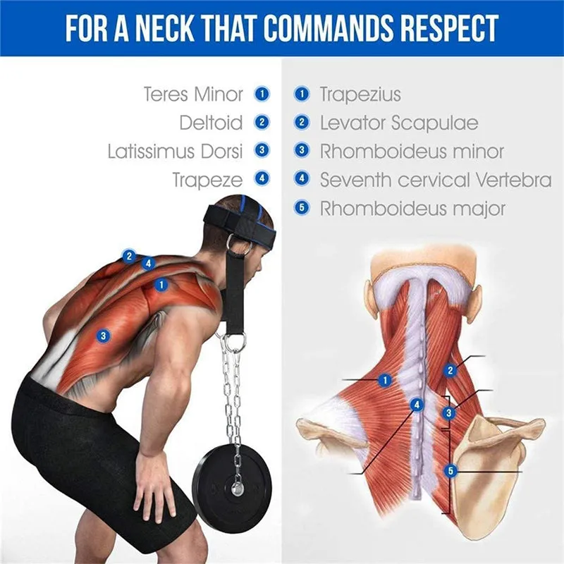 Premium Neck Training Harness for Strength & Muscle Power - Adjustable Head & Neck Weight Lifting Strap - Gym Fitness Equipment for Injury Recovery, Posture & Combat Sports