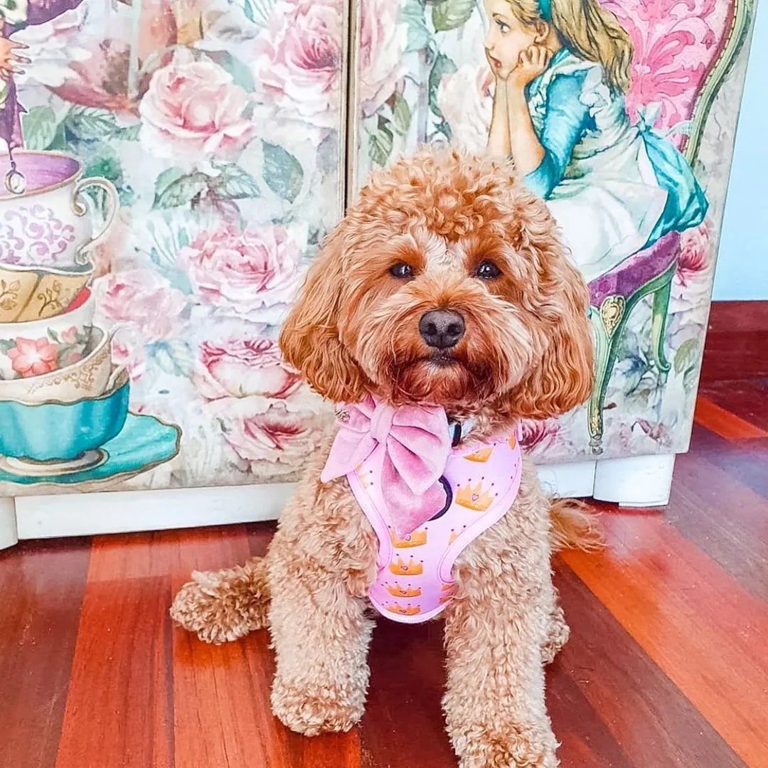 Princess Harness