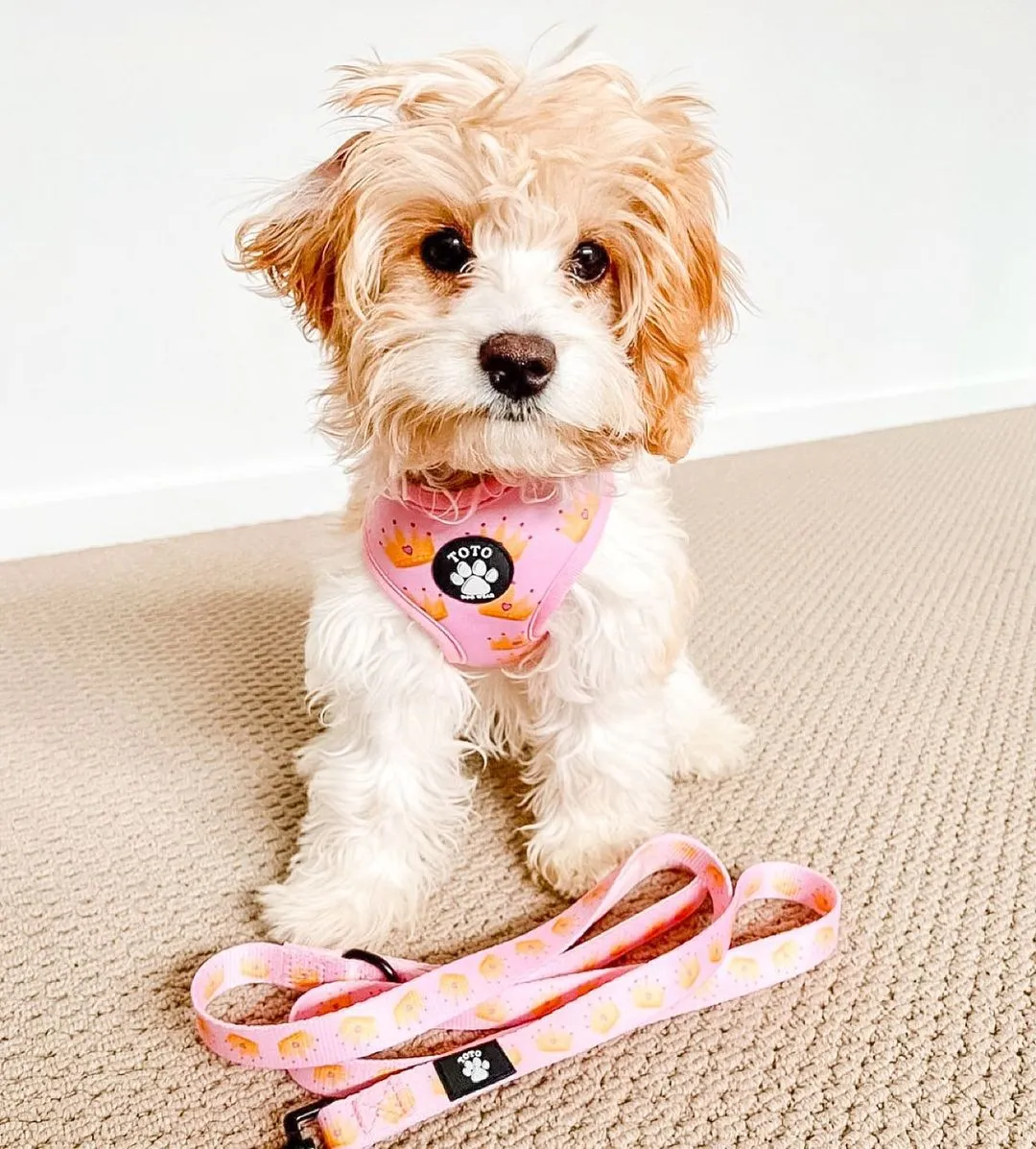 Princess Harness