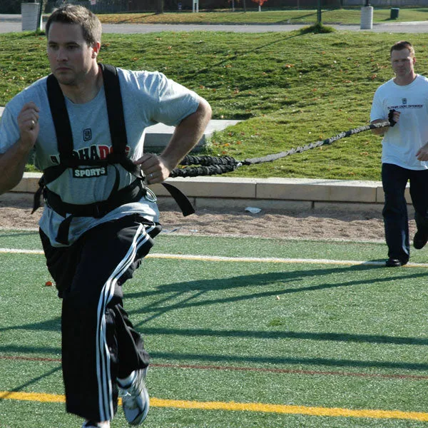 Prism Fitness Workhorse Harness