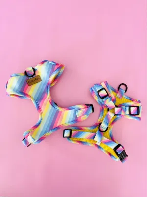 "Rainbow" Adjustable Harness
