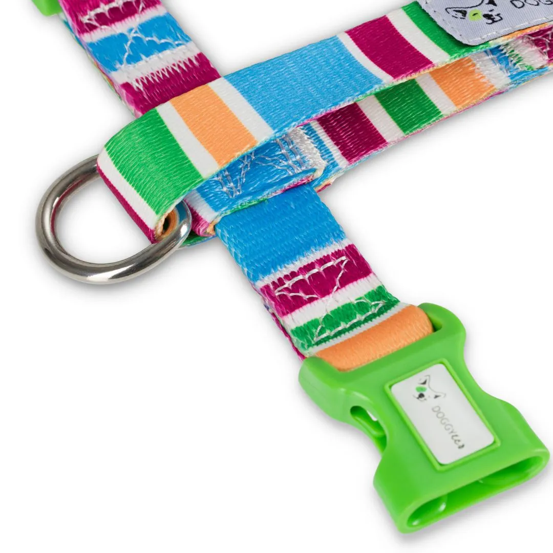 Recycled Dog Adventure Harness "Grampians"