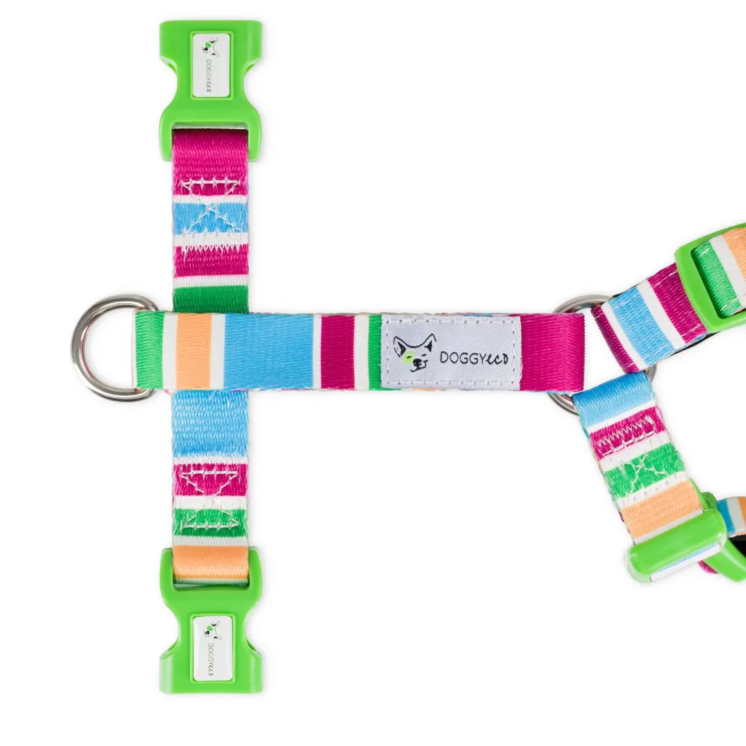 Recycled Dog Adventure Harness "Grampians"