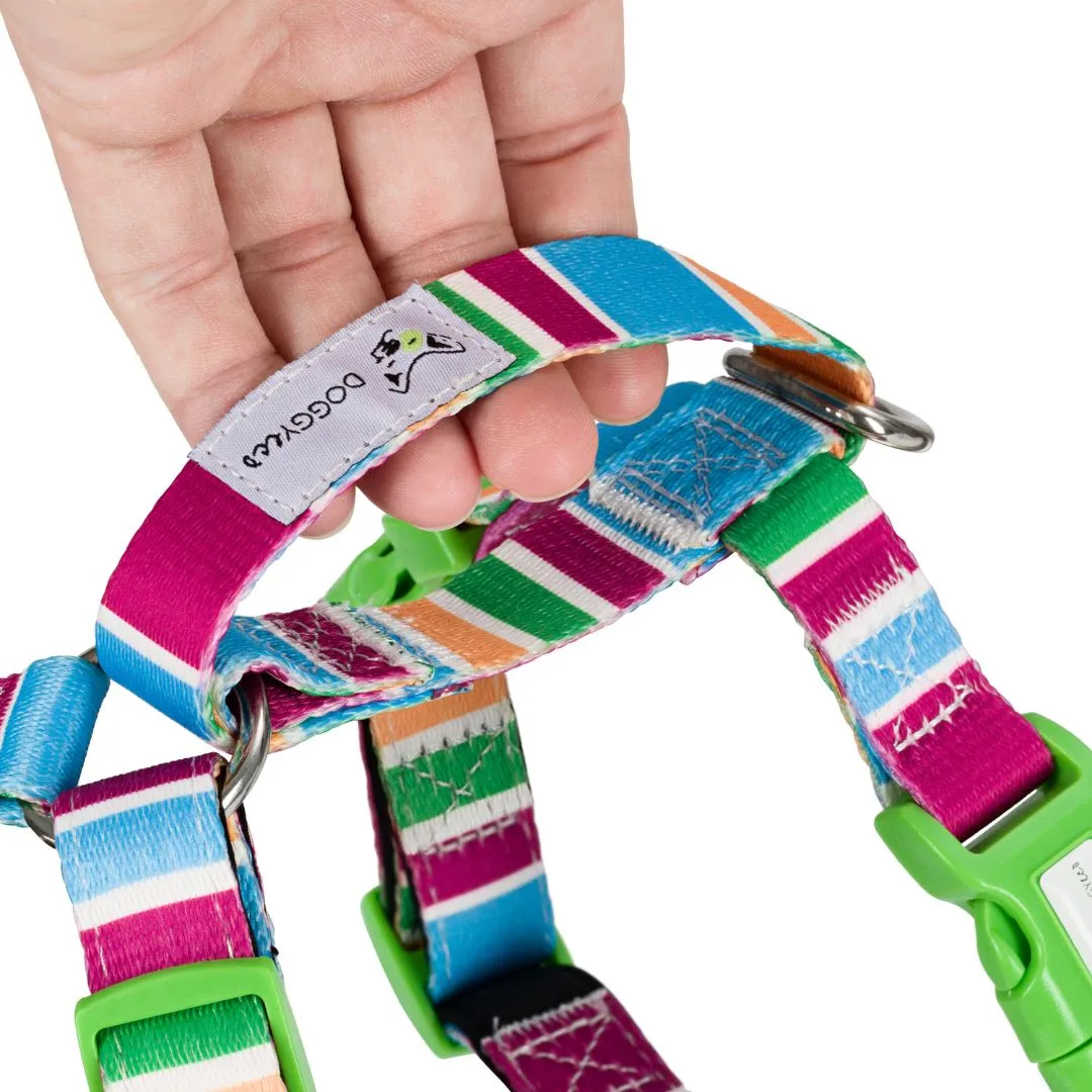 Recycled Dog Adventure Harness "Grampians"