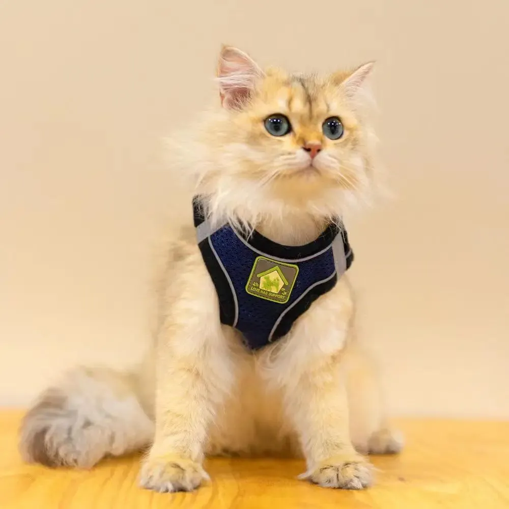 Reflective Cat Harness Set with Adjustable Leash for Small Pets
