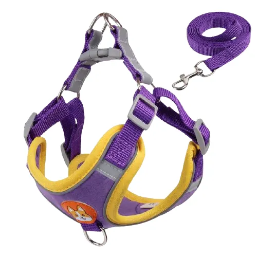 Reflective Dog Harness & Leash Set