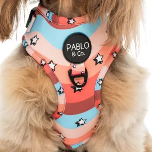 Retro Stars Adjustable Harness