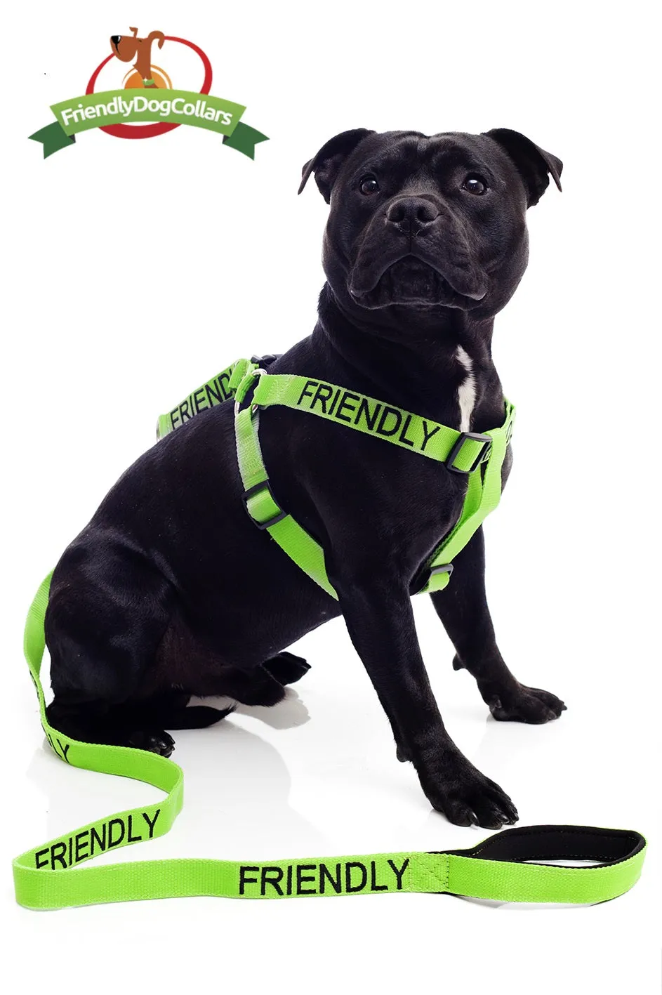 Service Dog Lead and Strap Harness