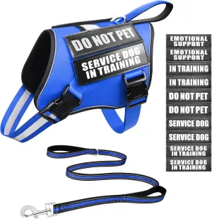 Service Dog Vest Harness and Leash Set 10 Patches,No Pull&Easy Walk Reflective Dog Harness with Soft Padded Handle for Training/Everyday,Fit Small/Medium/Large/Extra-Large Dogs (Blue M)