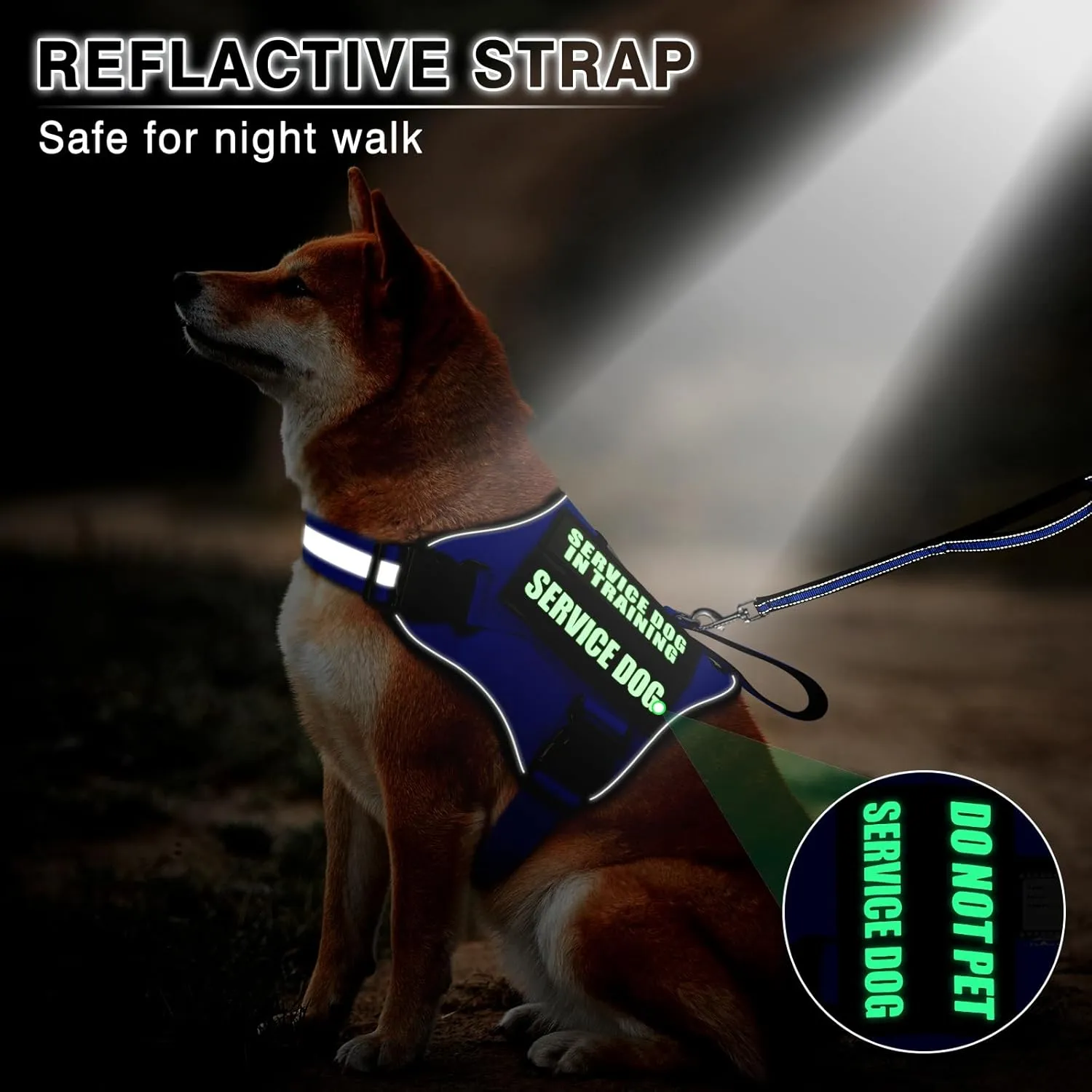 Service Dog Vest Harness and Leash Set 10 Patches,No Pull&Easy Walk Reflective Dog Harness with Soft Padded Handle for Training/Everyday,Fit Small/Medium/Large/Extra-Large Dogs (Blue M)