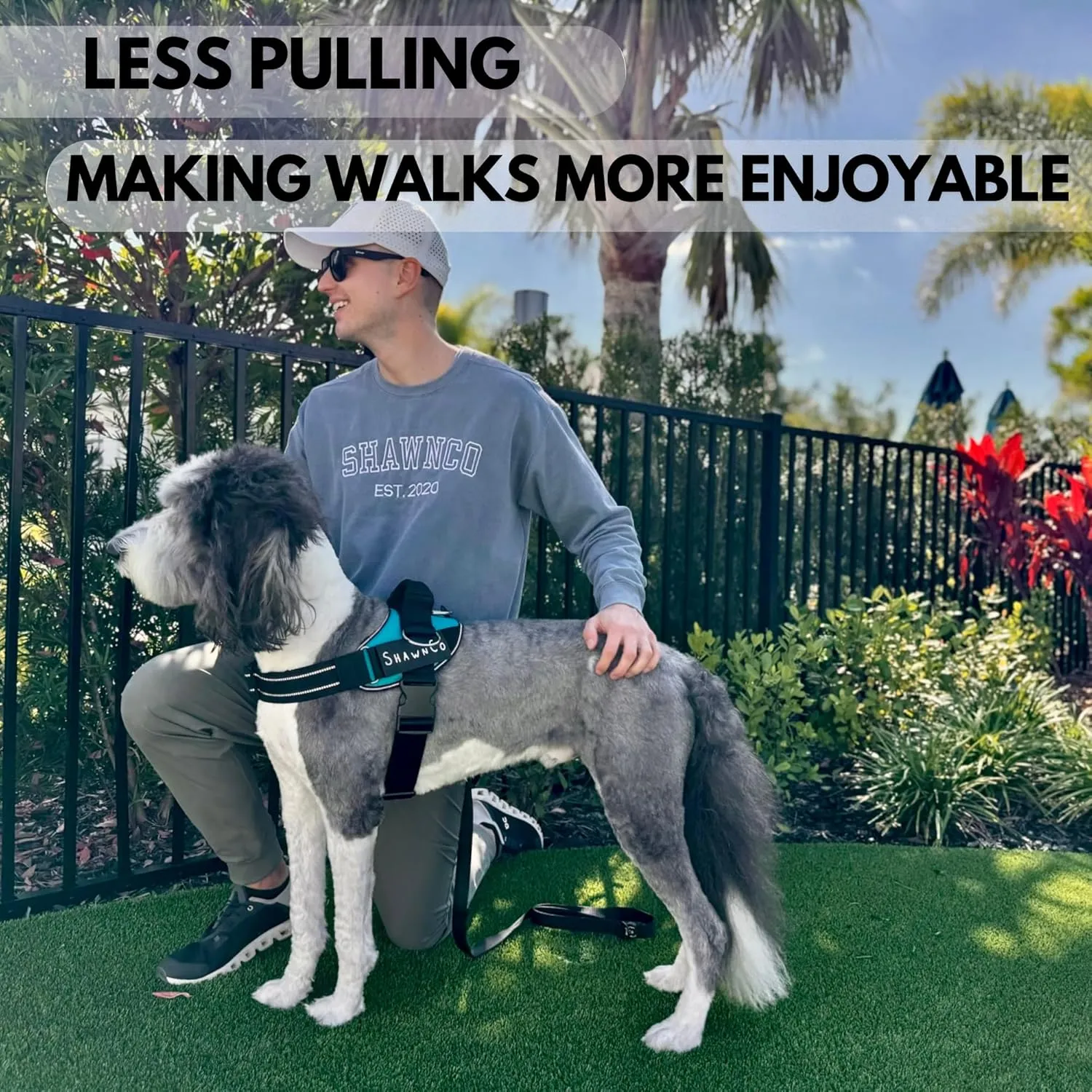 ShawnCo Essential Pro Dog Harness, No-Pull Pet Vest with 3 Leash Clips and Removable, Reflective Side Patches, Adjustable and Padded Harness for Small, Medium and Large Dogs (Orchid, L)