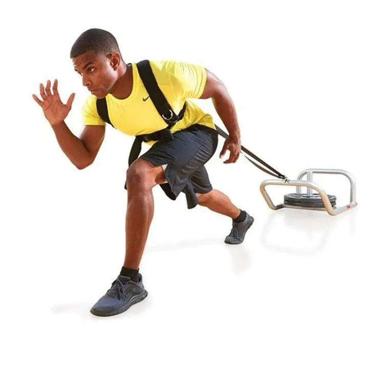 Sled Harness