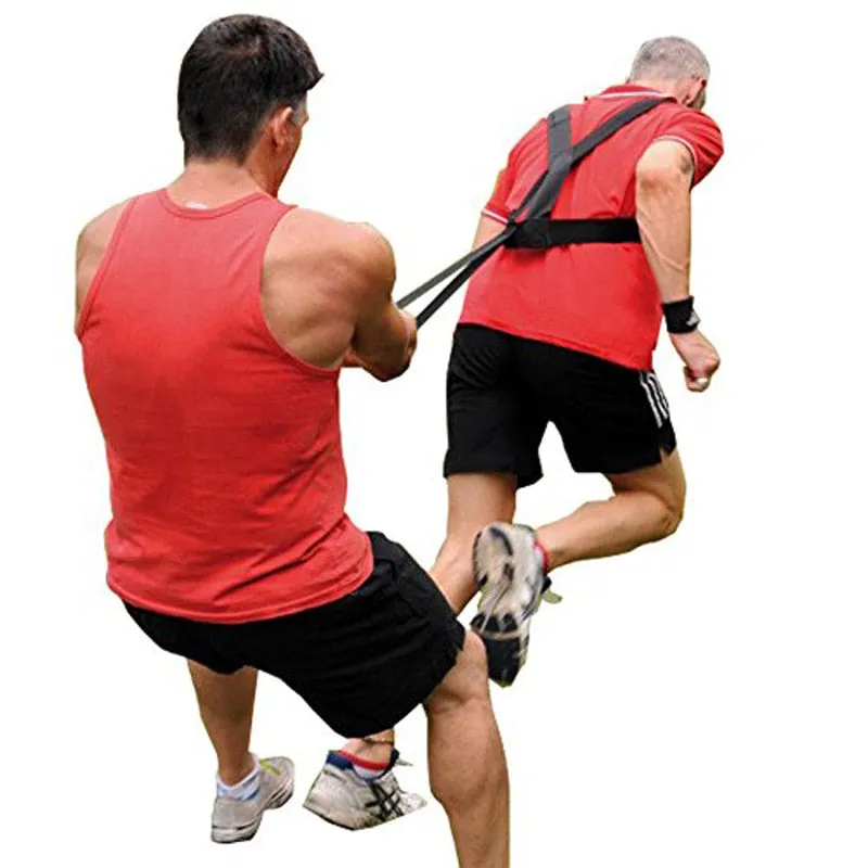 Sled Harness