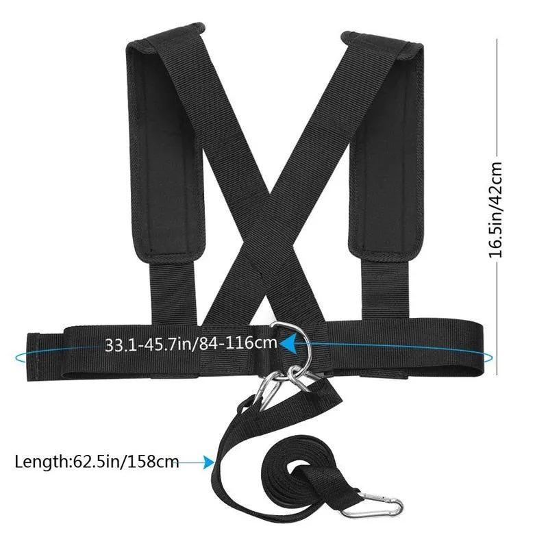 Sled Harness