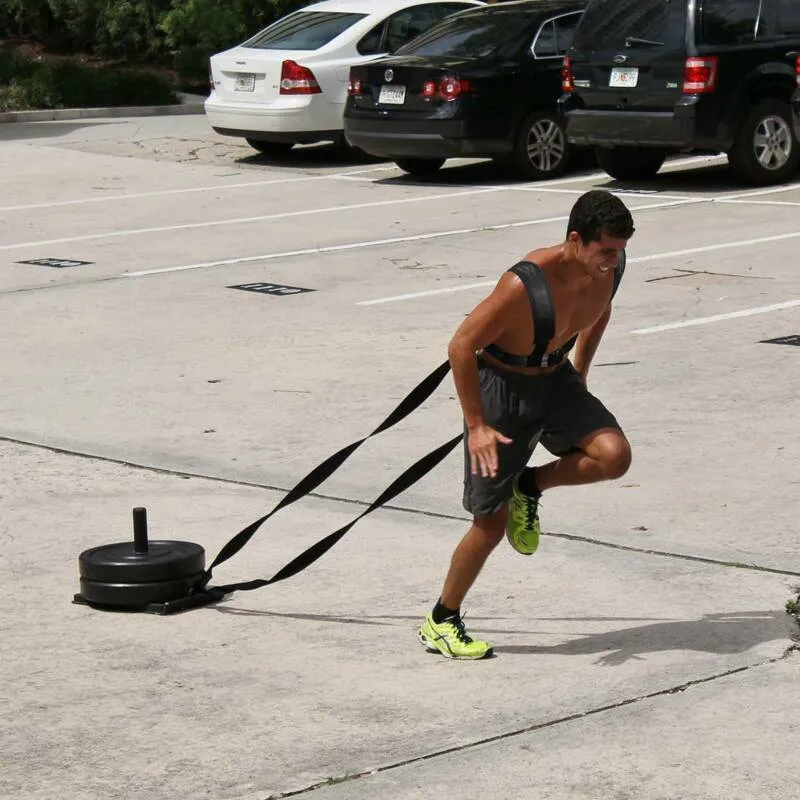 Sled Harness