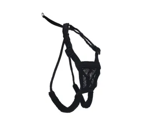 Sporn Mesh Harness Black