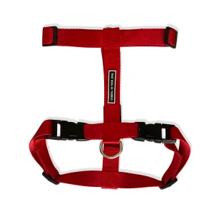 TDIT H-Harness - Red