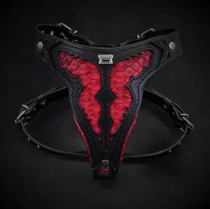 The ''Red Dragon'' harness Medium Size