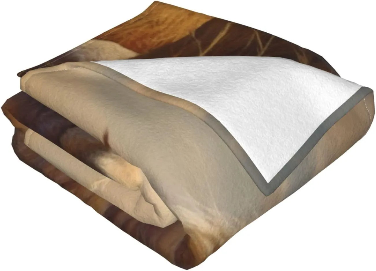 Throw Blanket for Couch Reversible Plush Blanket 40"x30" Soft Lightweight Flannel Blanket Prairie Lion Throw Blanket Sofa Bed Chair Decorative Throw for Bed Picnic Camping