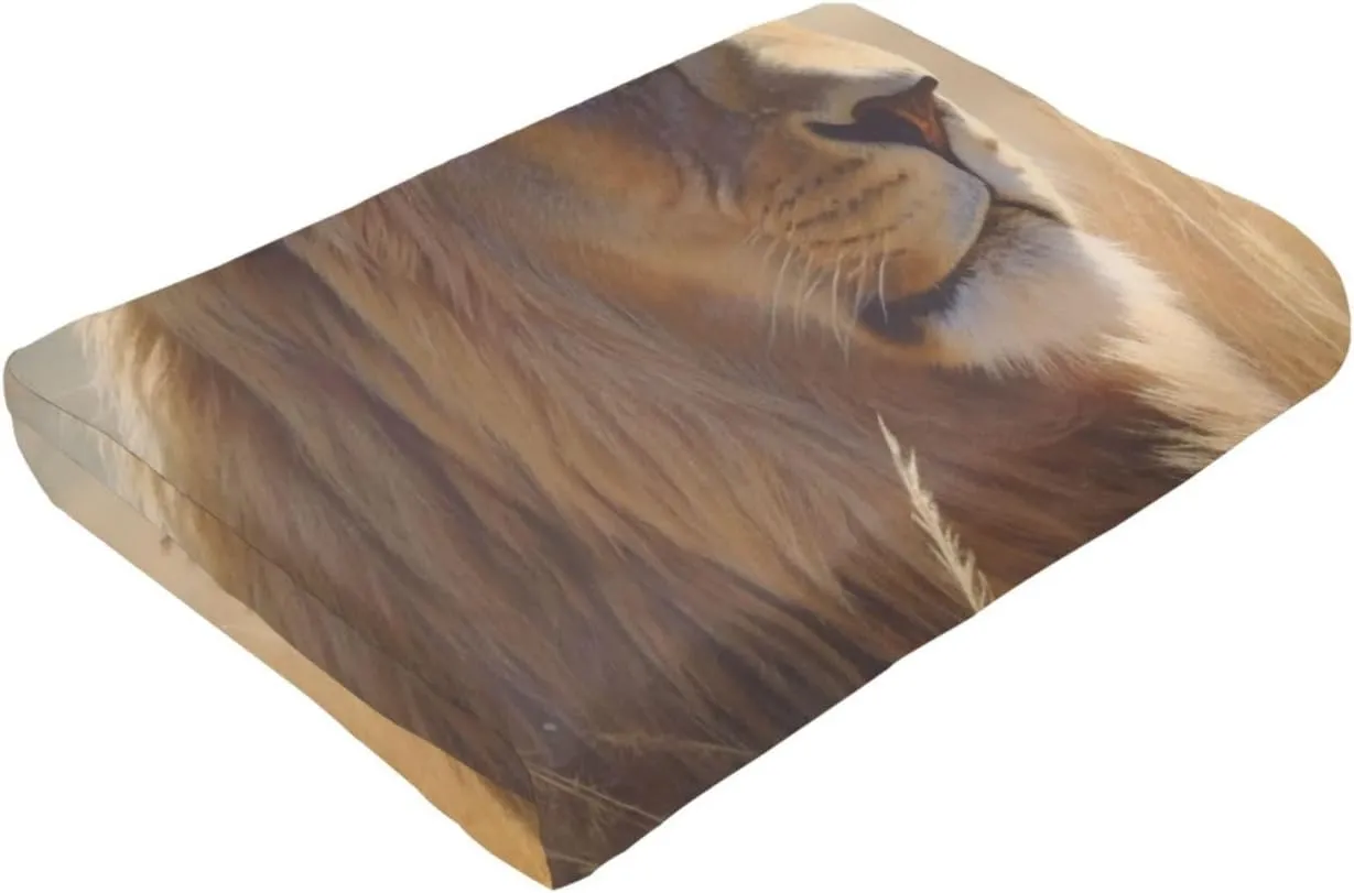 Throw Blanket for Couch Reversible Plush Blanket 40"x30" Soft Lightweight Flannel Blanket Prairie Lion Throw Blanket Sofa Bed Chair Decorative Throw for Bed Picnic Camping