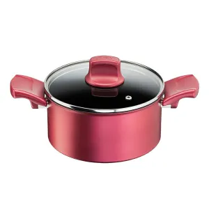 UNLIMITED 2X Rouge Stew Pot 20cm G26244