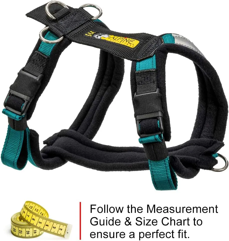 Urban Trail Adjustable Harness (Large, Teal)