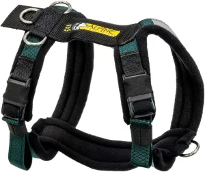 Urban Trail Adjustable Harness (Large, Teal)