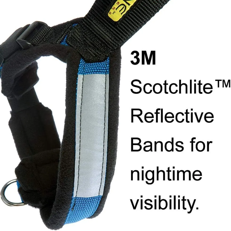 Urban Trail Adjustable Harness (Large, Teal)