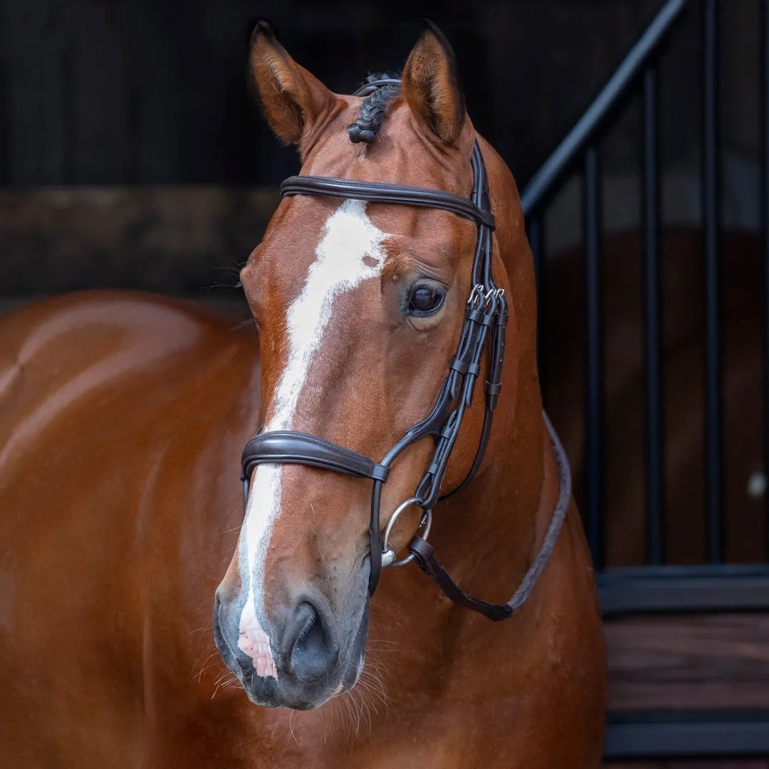 Velociti Rolled Padded Cavesson Bridle