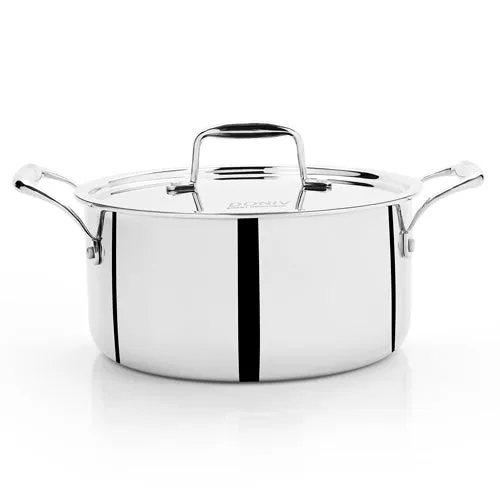 VINOD Doniv Titanium Triply Stainless Steel Sauce Pot with Cover 24 cms, Capacity 5.00 Liter