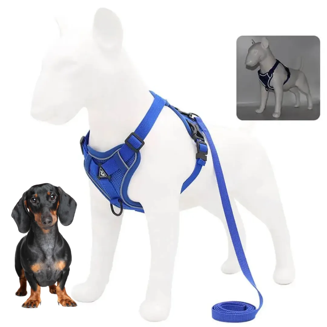 WagFree No Pull Doxie Harness and Leash Set