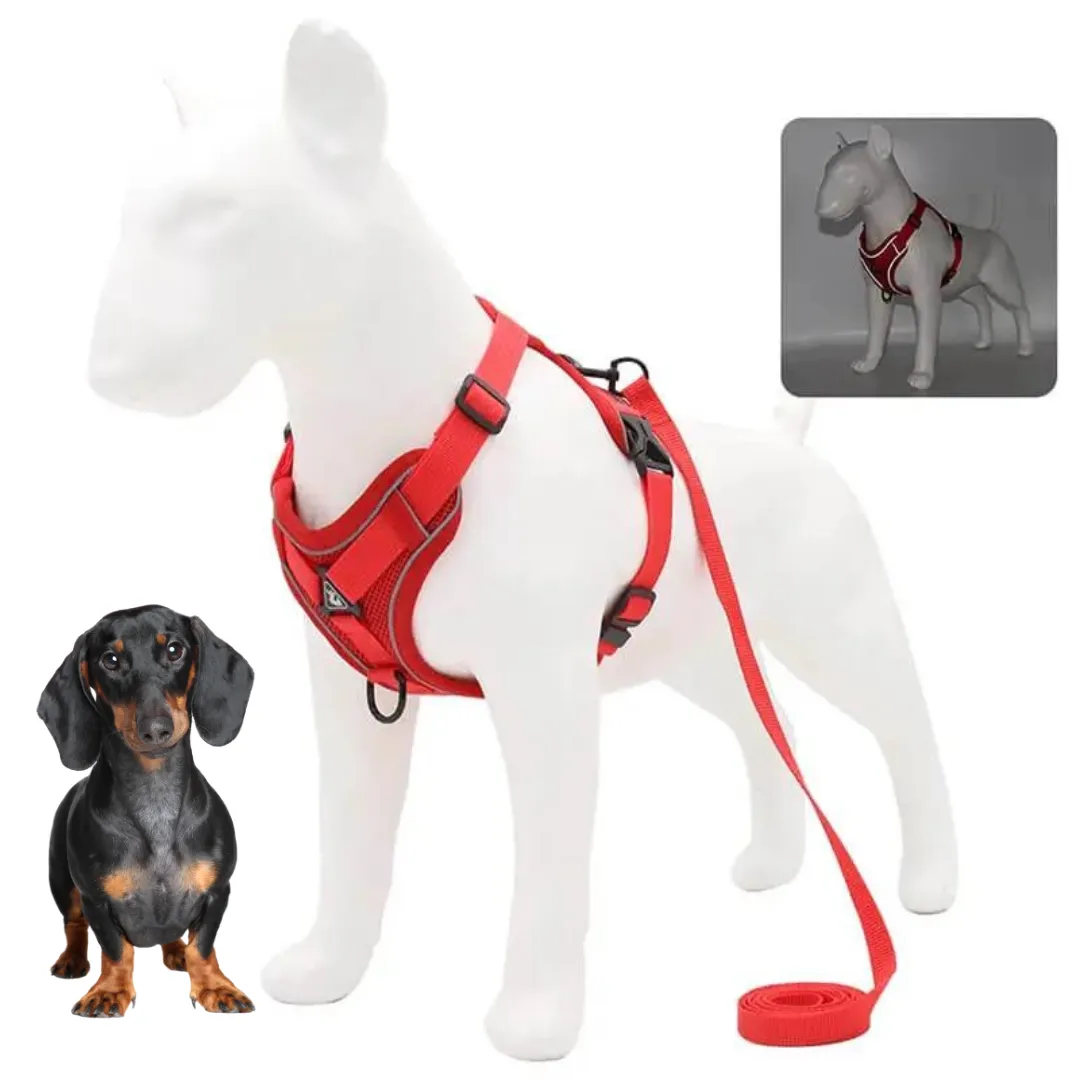WagFree No Pull Doxie Harness and Leash Set