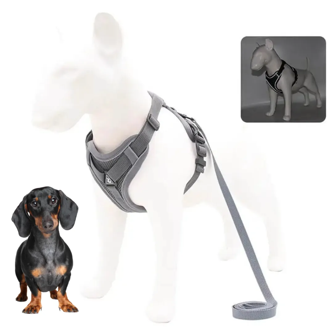 WagFree No Pull Doxie Harness and Leash Set