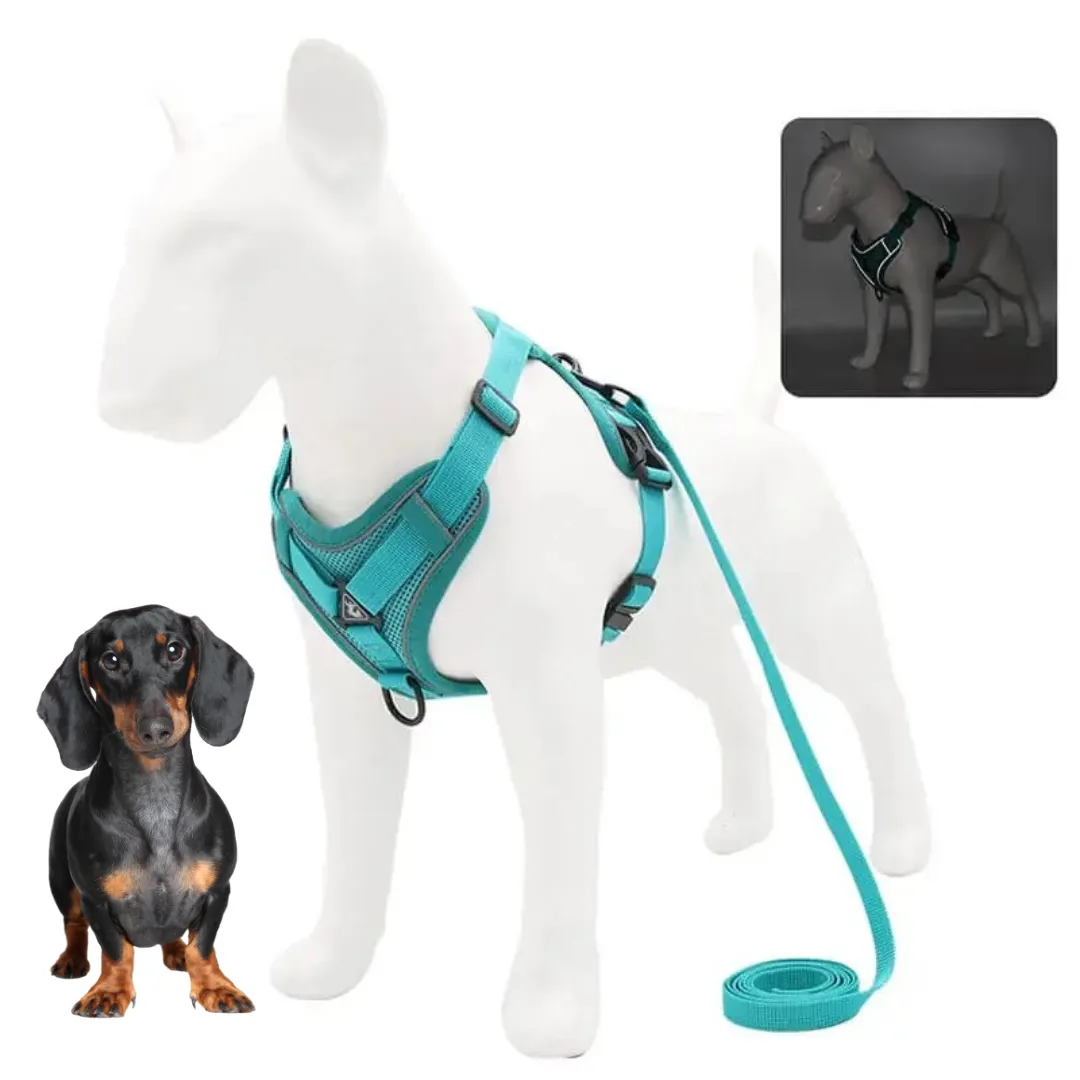 WagFree No Pull Doxie Harness and Leash Set