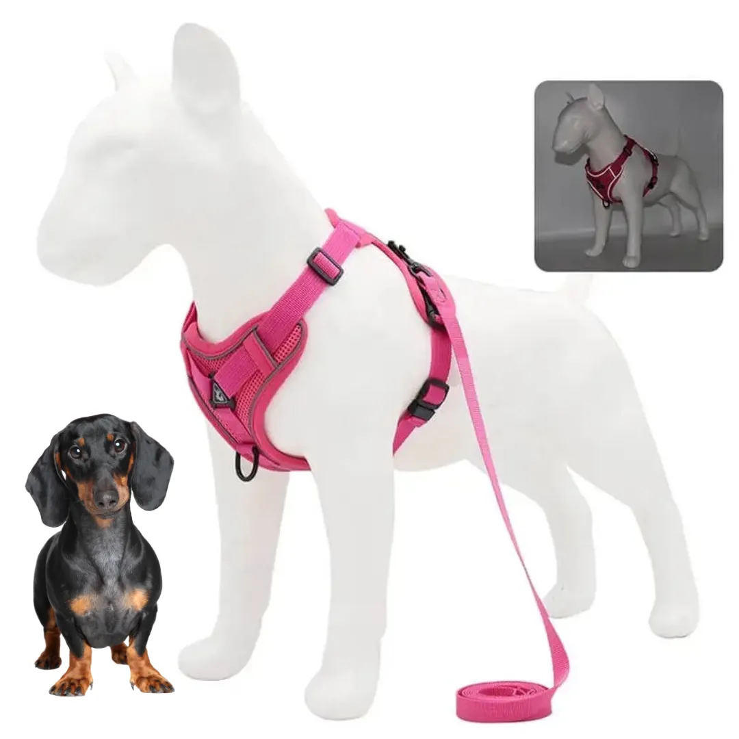 WagFree No Pull Doxie Harness and Leash Set