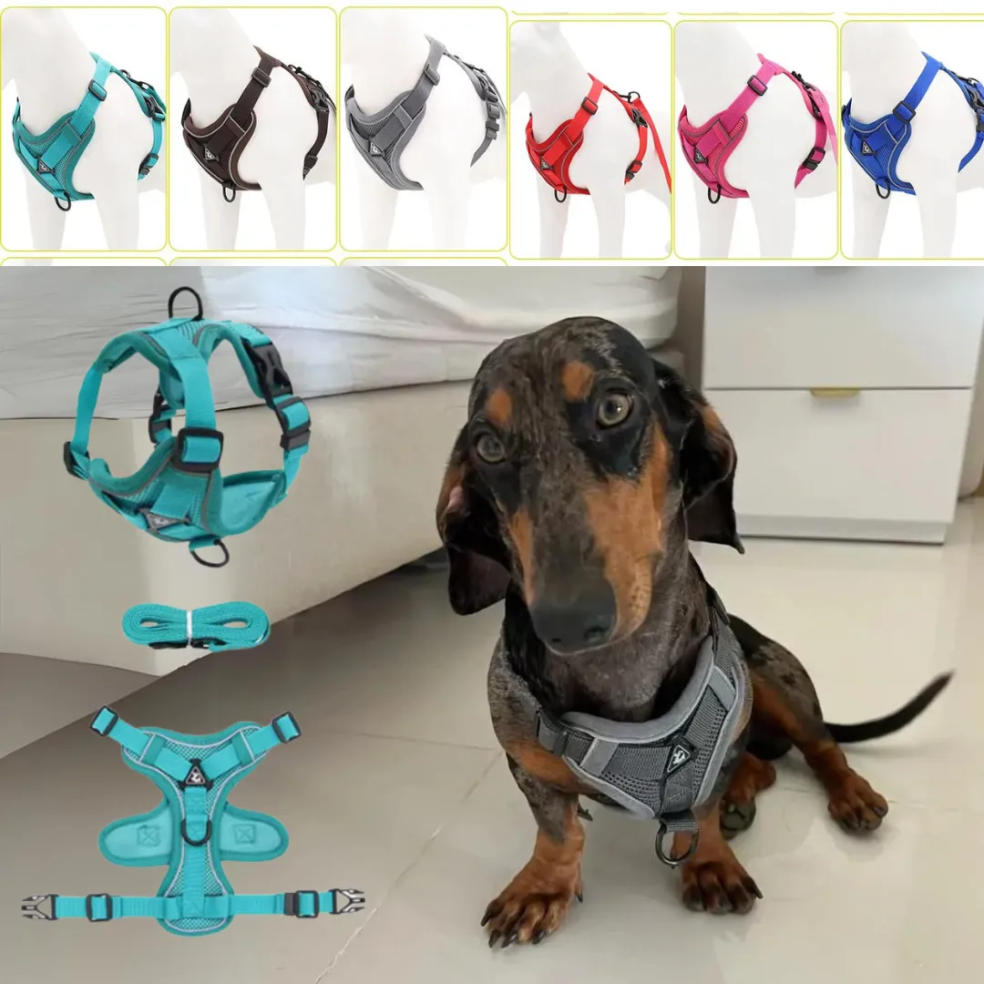 WagFree No Pull Doxie Harness and Leash Set
