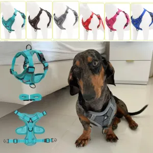 WagFree No Pull Doxie Harness and Leash Set