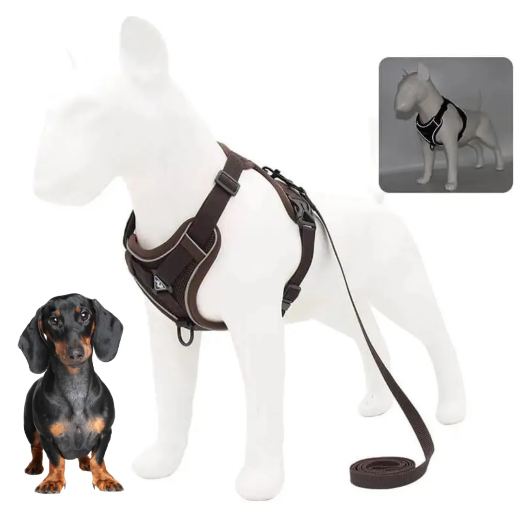 WagFree No Pull Doxie Harness and Leash Set