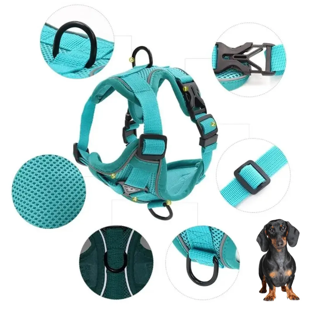 WagFree No Pull Doxie Harness and Leash Set